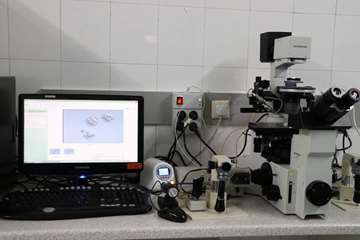 semums-en.amirhos.ivf ward 